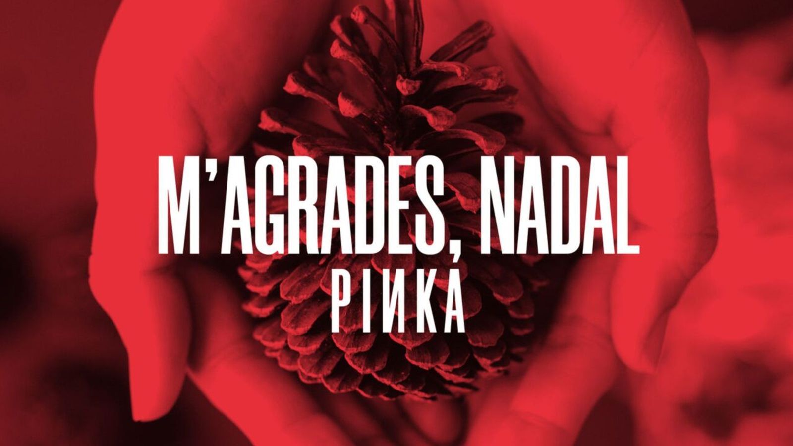 29.12.2023 | El grup Pinka torna als escenaris