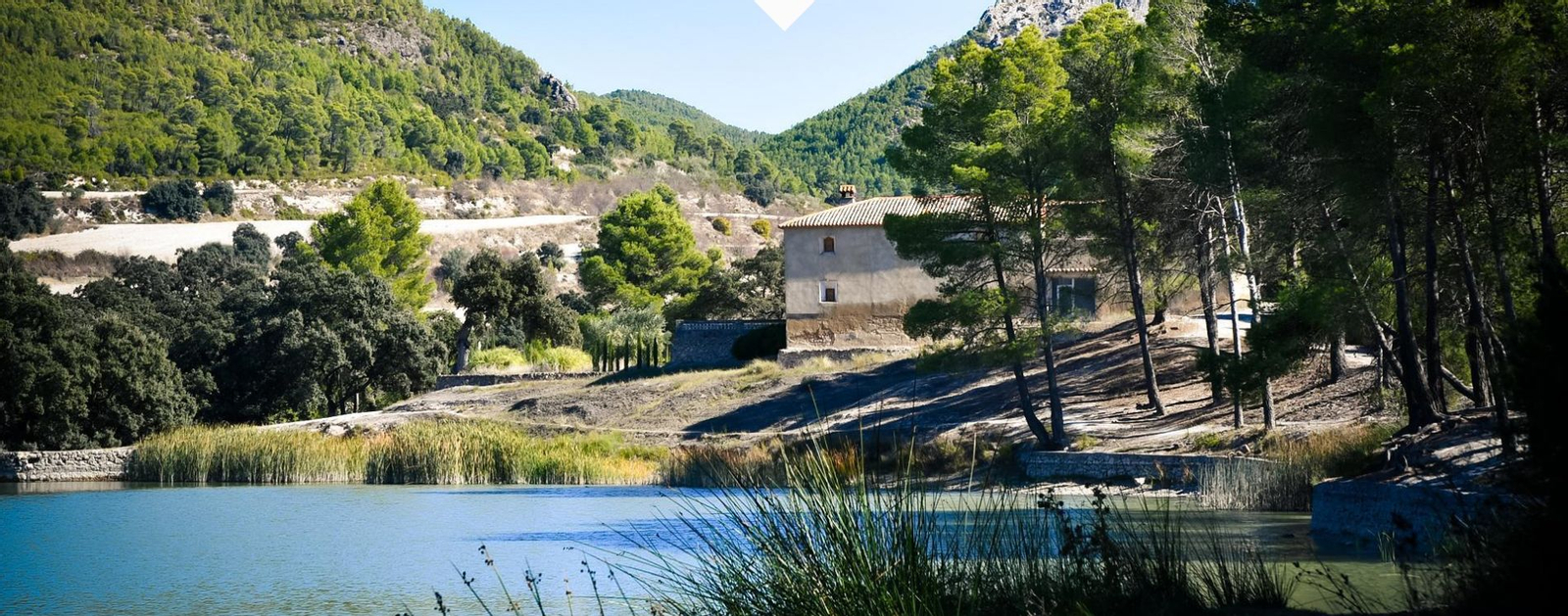 El Bosquet de Moixent