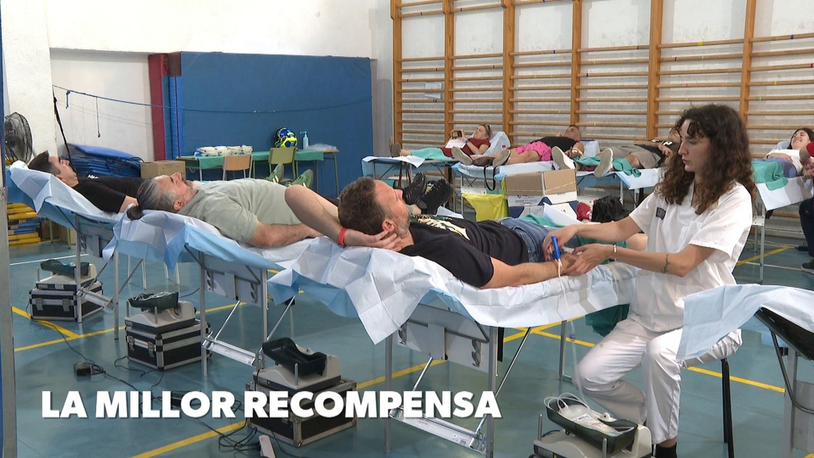 Dia Mundial del Donant de Sang