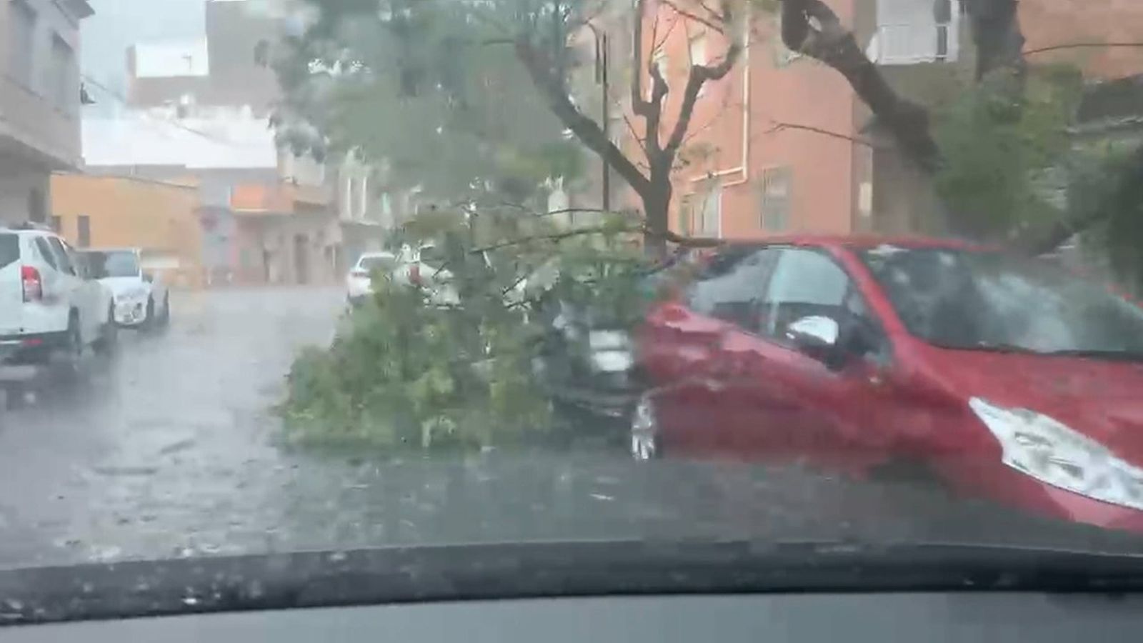 Els efectes de l'esclafit tèrmic a la Ribera