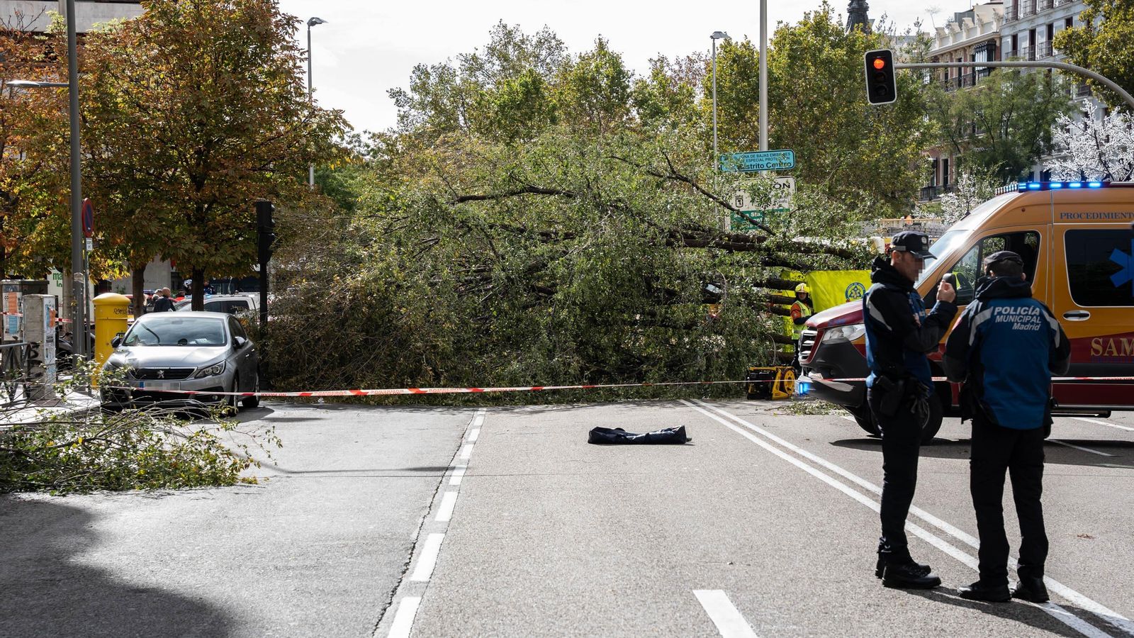Agents de policia local de Madrid, al costat de l'arbre que ha caigut sobre un pas de vianants per la borrasca Ciarán