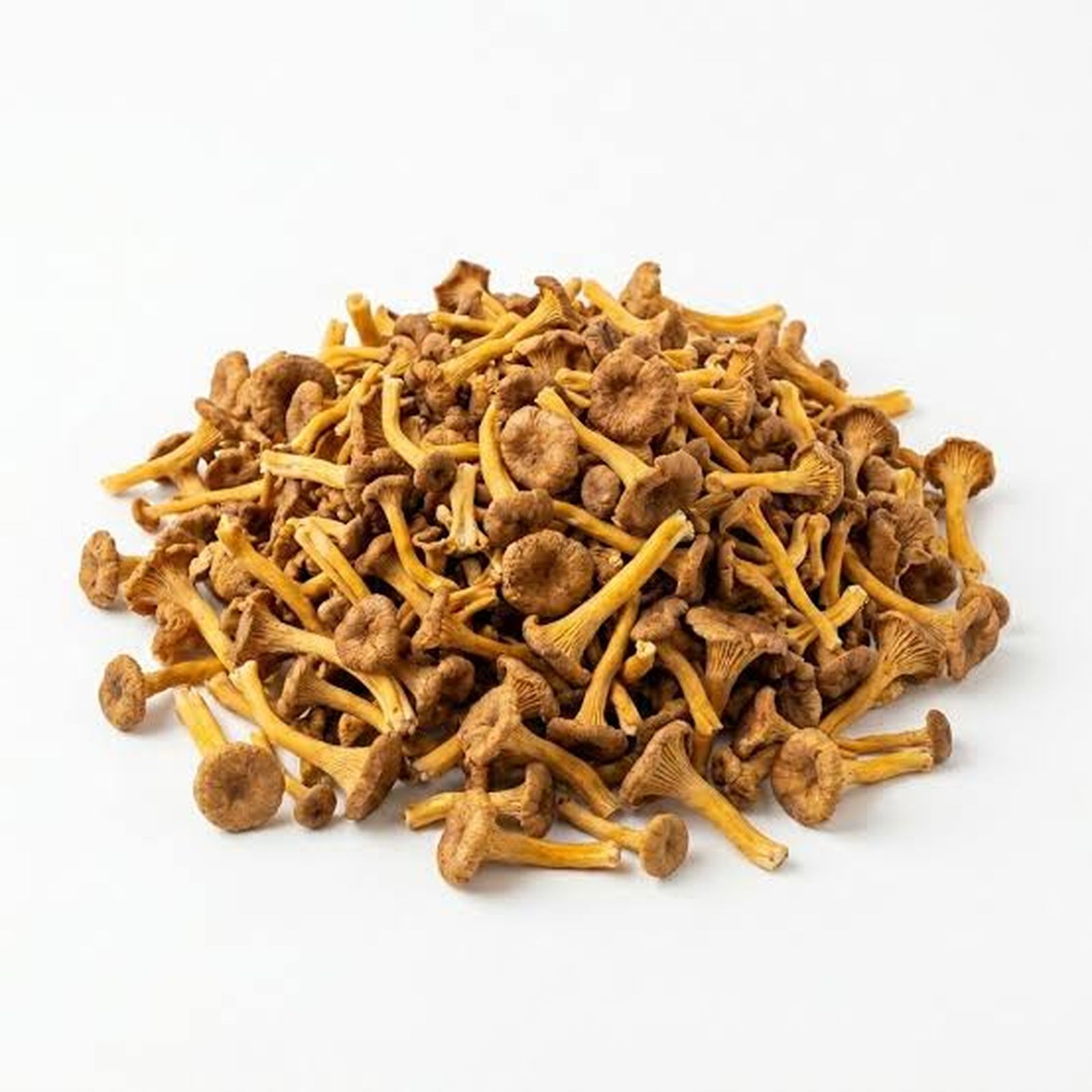 Camagrocs