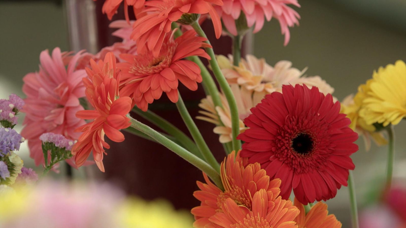 Rodoreda i les flors