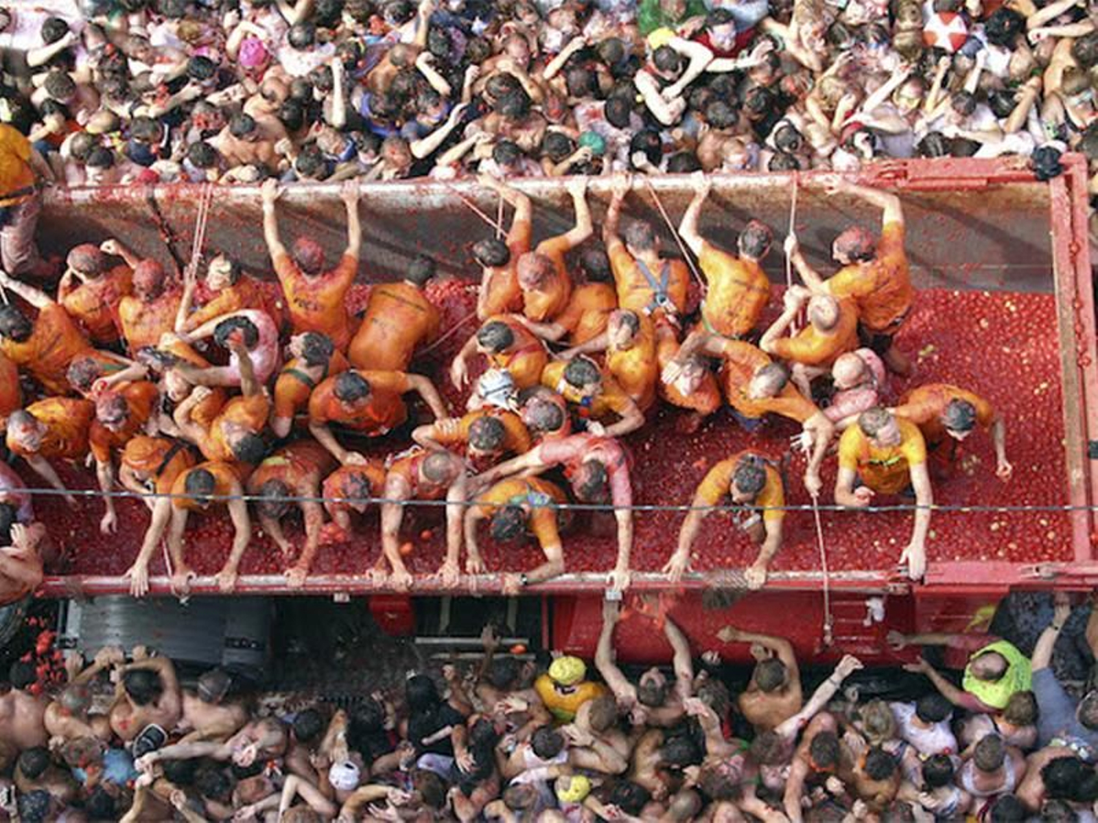 Els camions que transporten les tomates durant la batalla