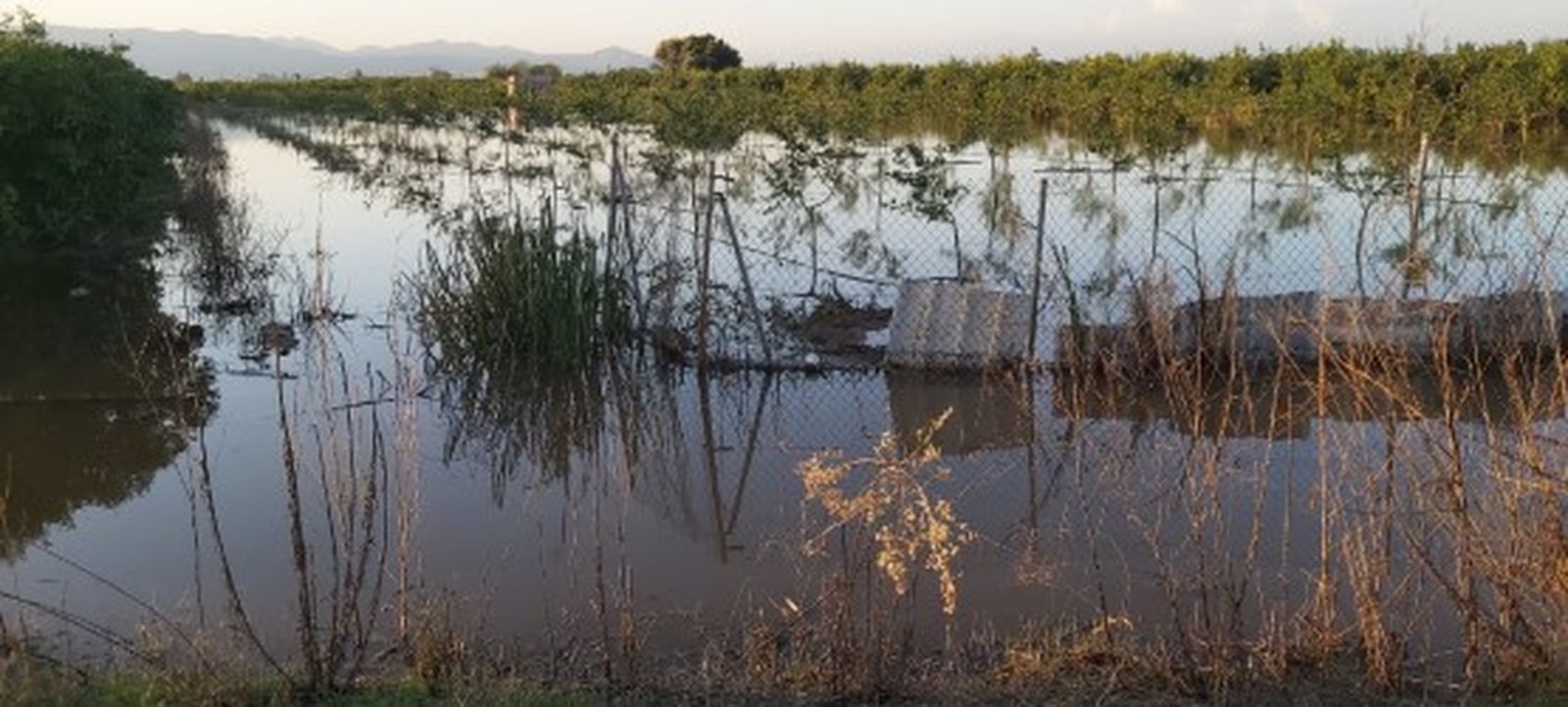 Un camp inundat per les tempestes dels últims dies