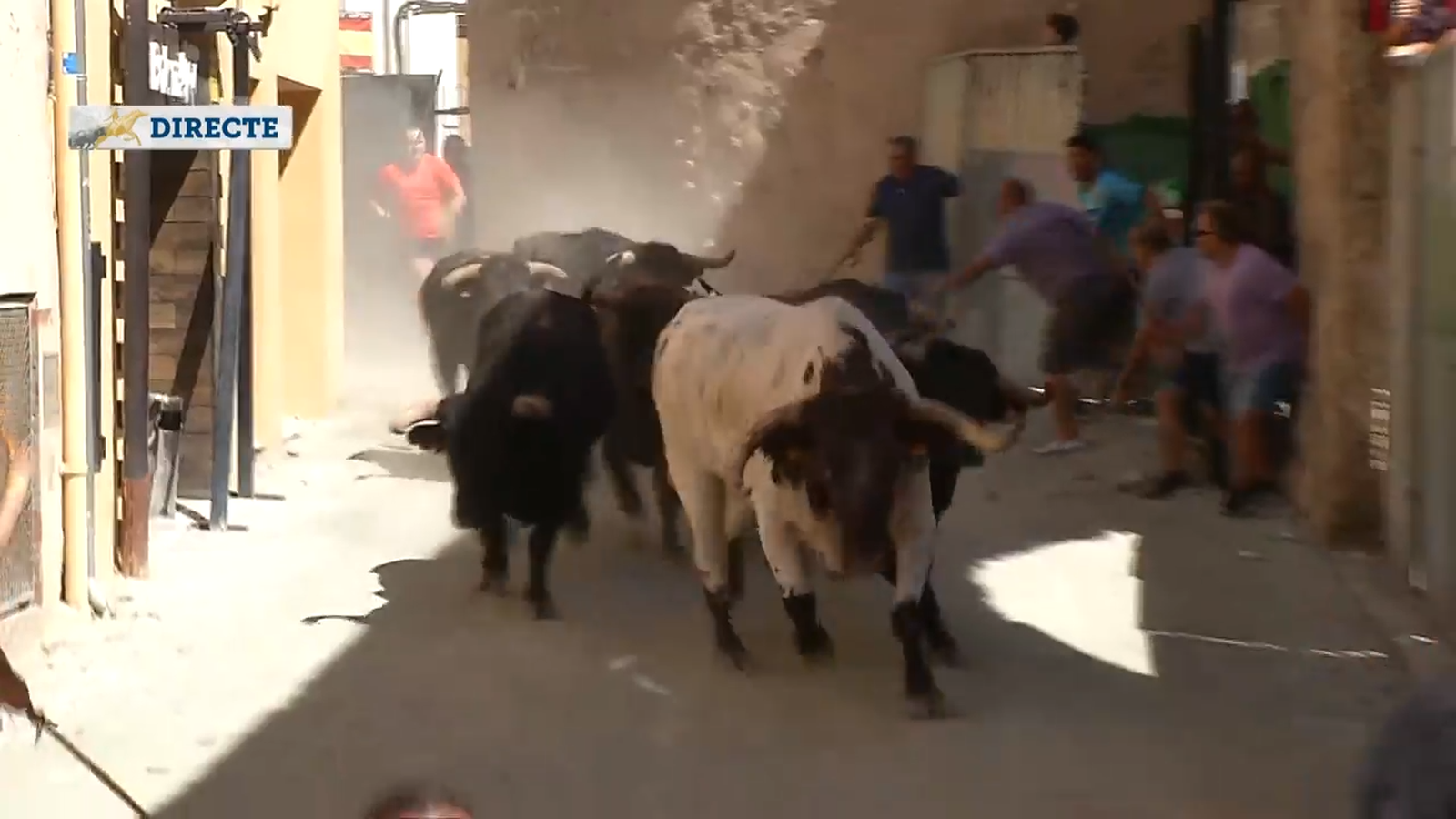 8.9.2022 | ENTRADA DE BOUS I CAVALLS DE SOGORB