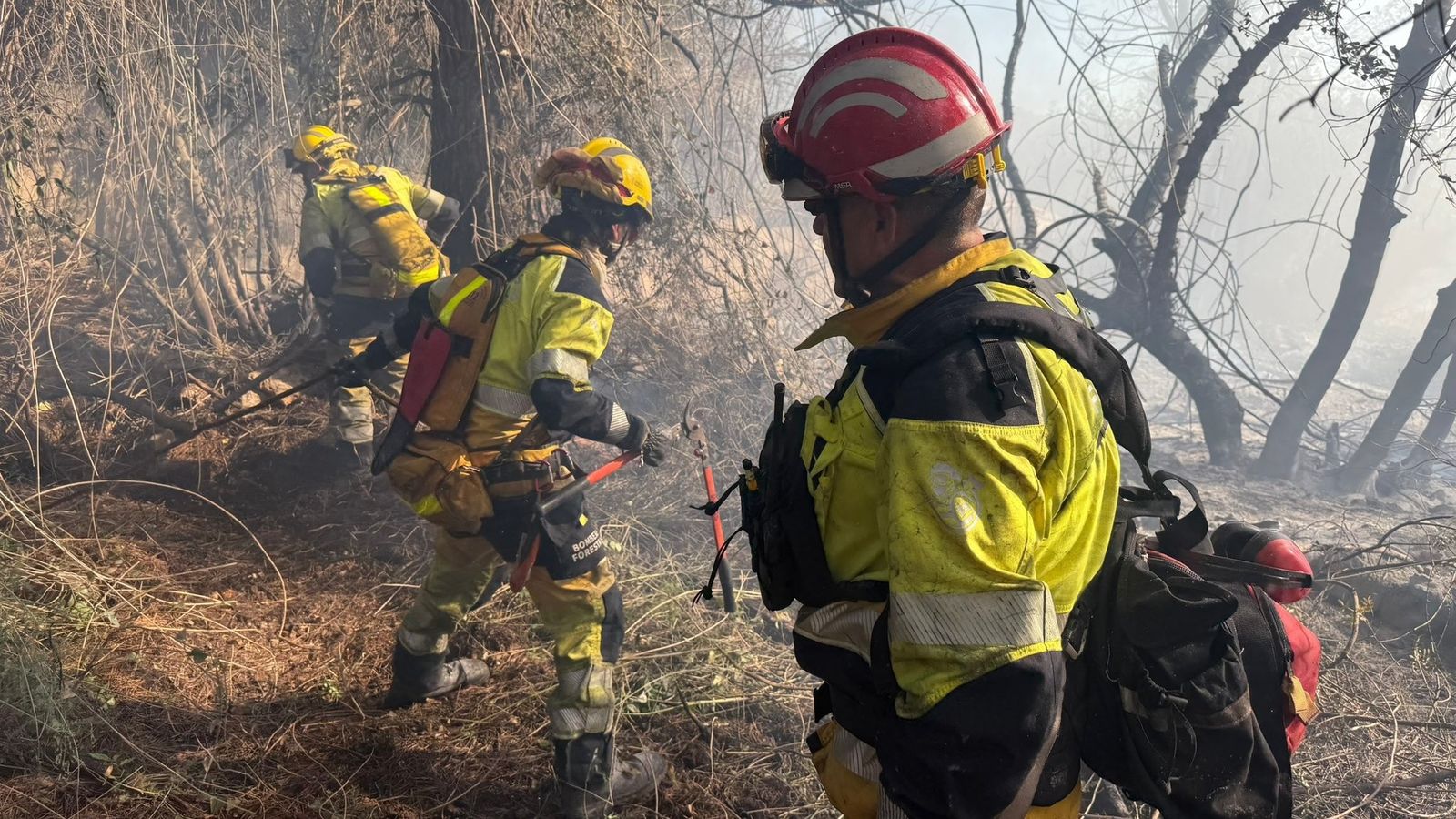 Els bombers treballen en l'extinció d'un incendi a Peníscola