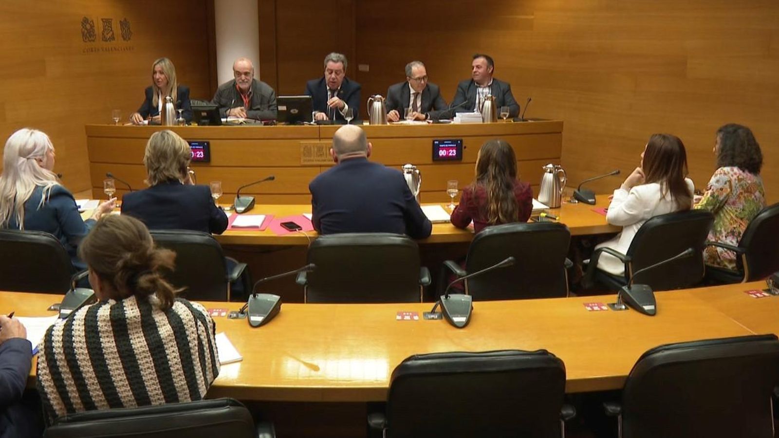 Comissió a les Corts sobre la llei de "concòrdia"