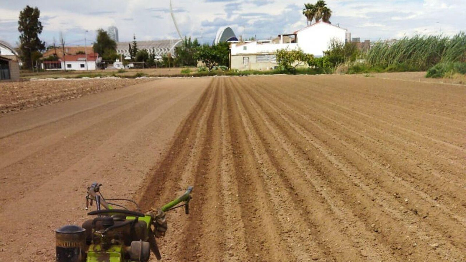 03.04.2025 | Els llauradors de Francs, Marjals i Extremals de València denuncien bloquejos d’accés a l’aigua