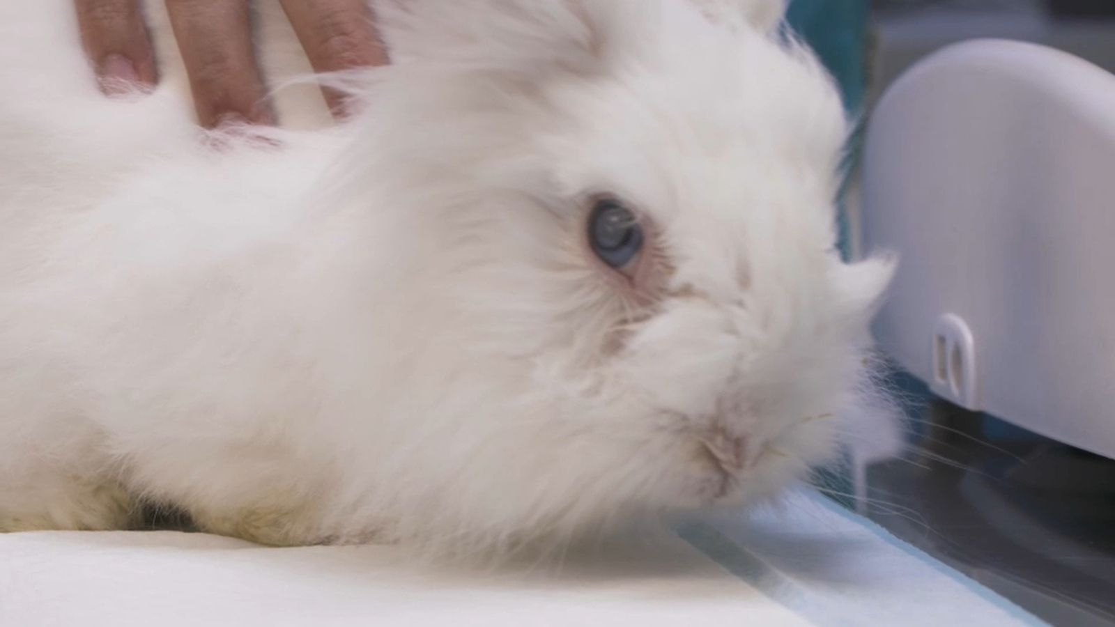 05.04.2026 | Jubilació i companyia