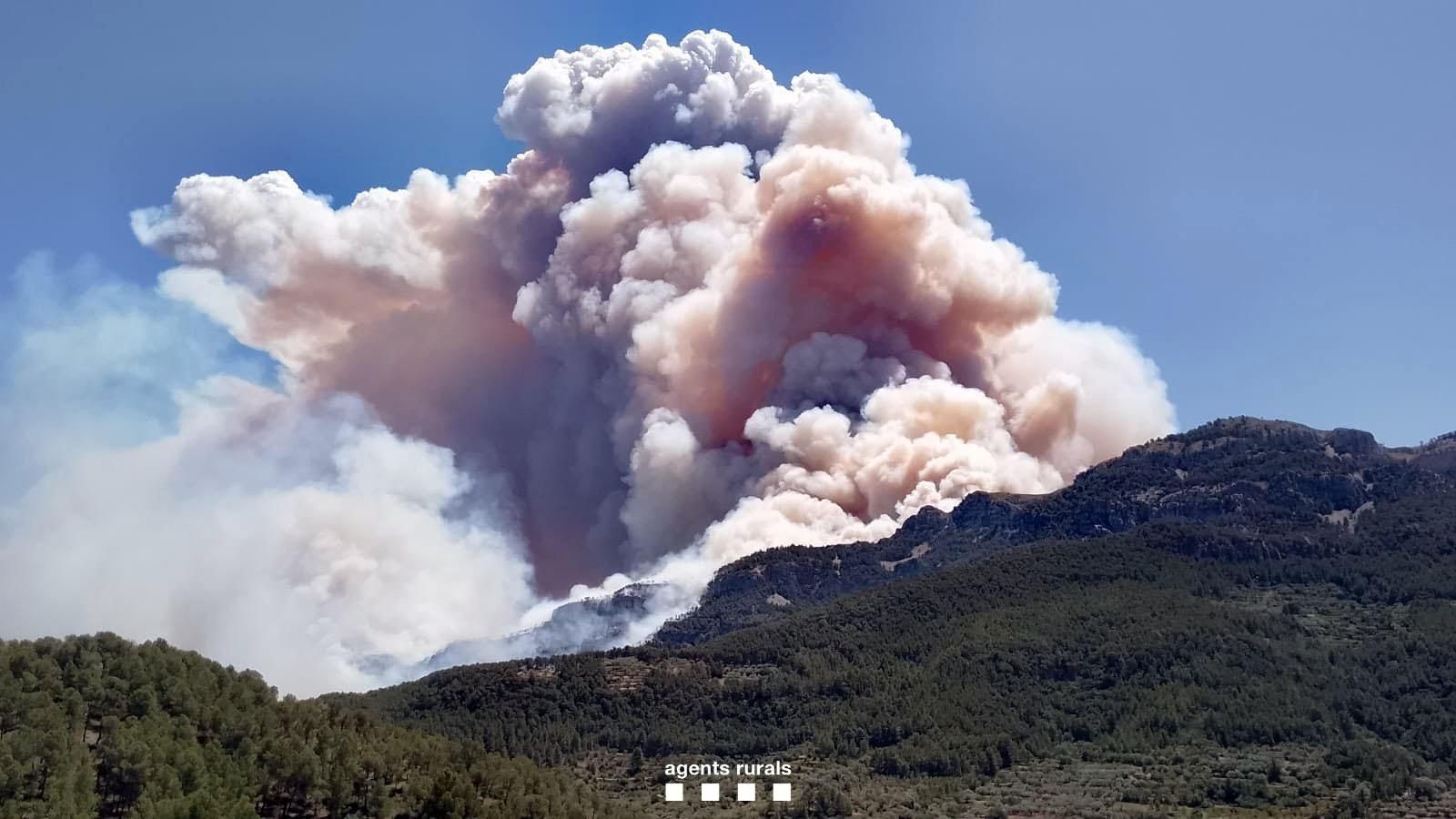 L'incendi forestal de Paüls ja afecta a una superfície de 150 hectàrees