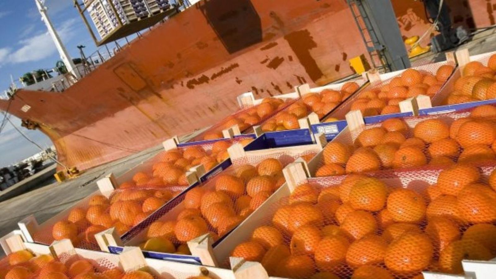 Imatge d'arxiu d'un enviament de cítrics Imatge d'arxiu d'un enviament de cítrics