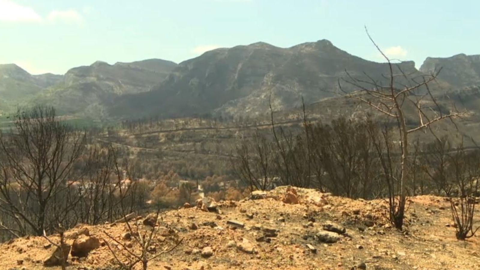 Zona afectada per l'incendi de Llutxent
