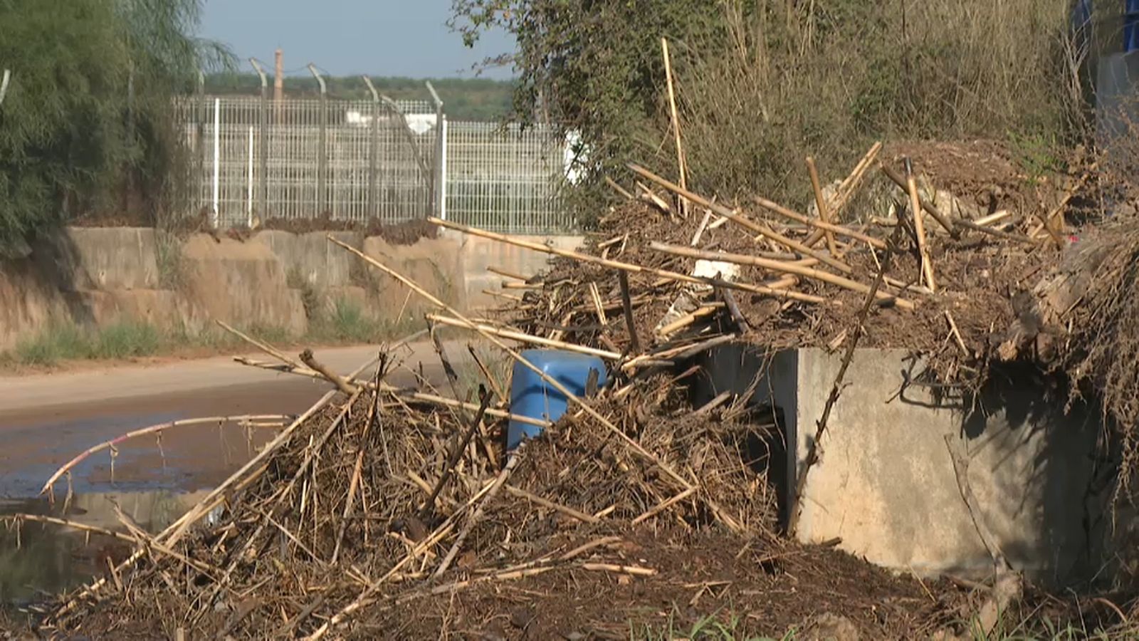 Acumulació de brutícia i canyes al barranc de Picassent (l'Horta)
