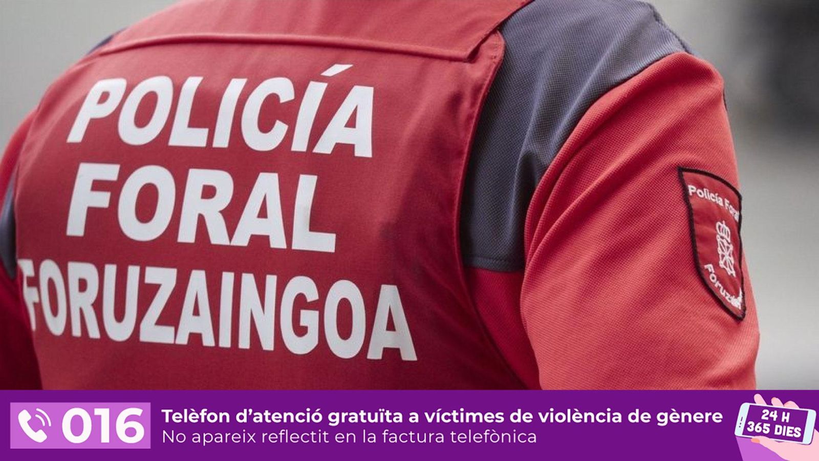 Agent de la Policia Foral de Navarra, en una imatge d'arxiu