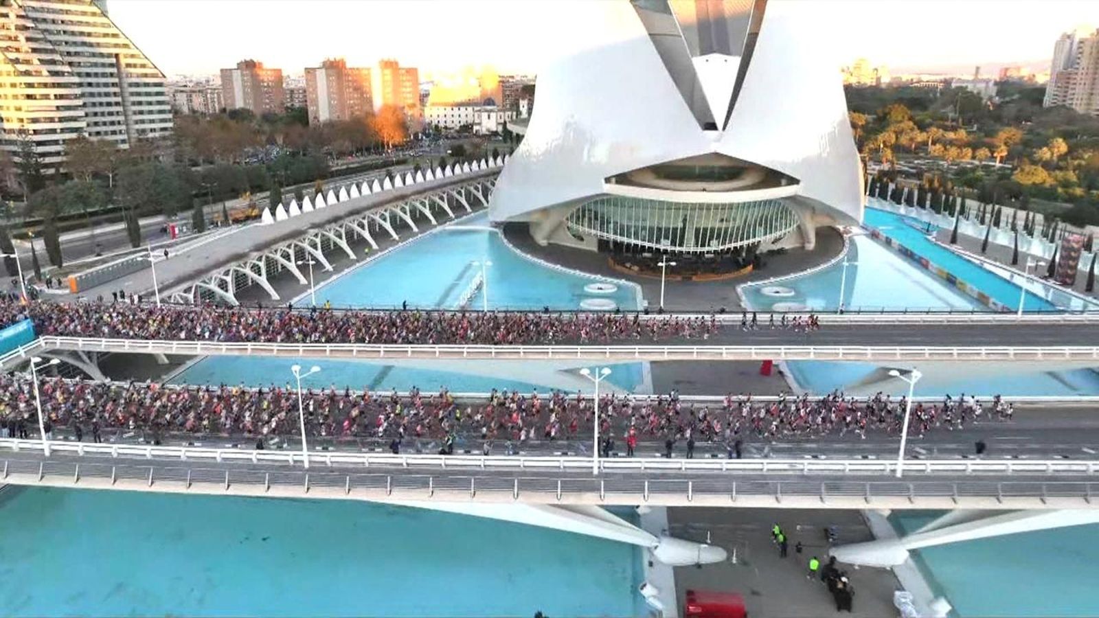 El 18% dels participants de la Mitja Marató són debutants