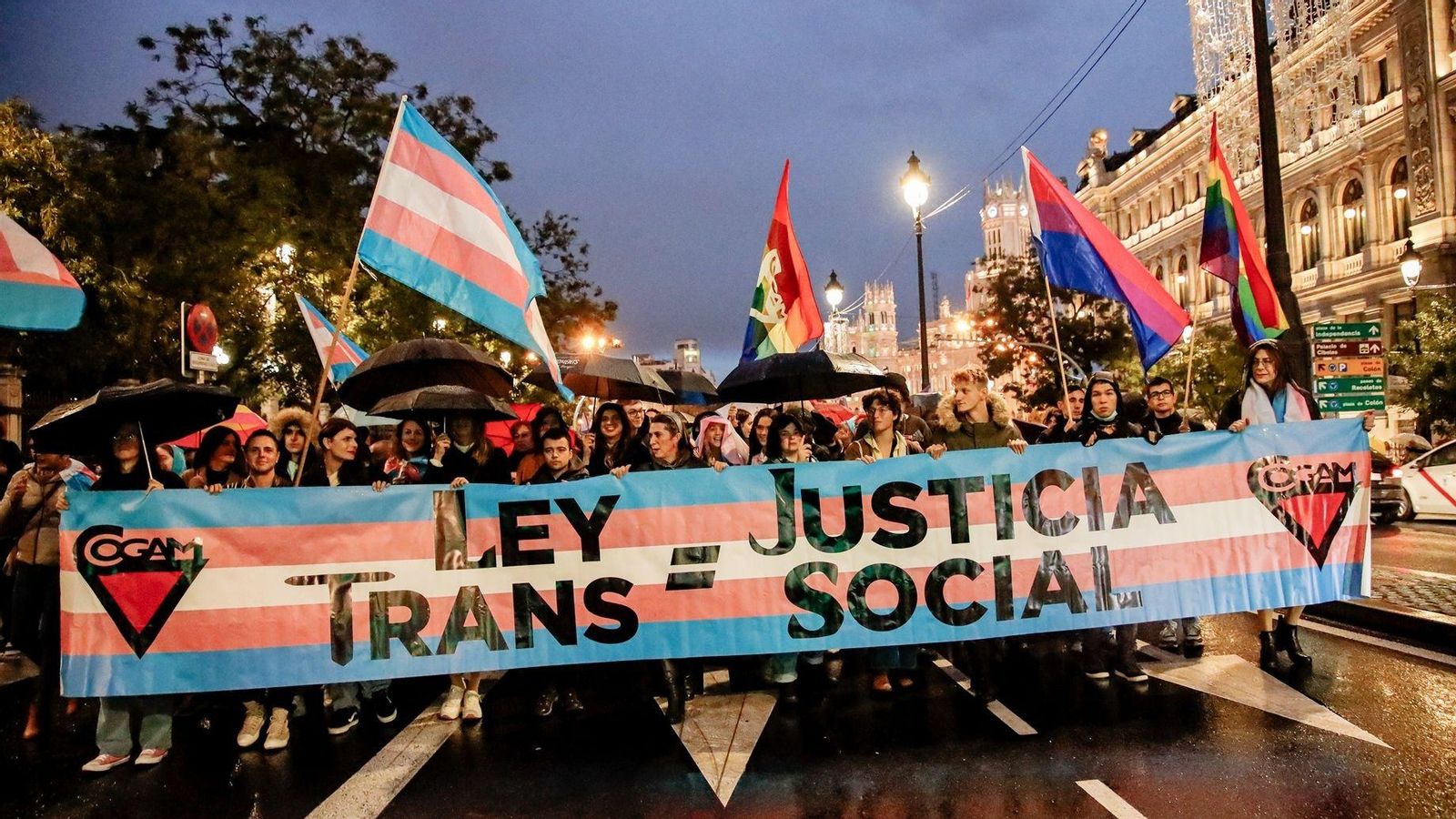 Marxa convocada el passat 12 de novembre a Madrid per la Federació Plataforma Trans davant les esmenes del PSOE a la llei trans