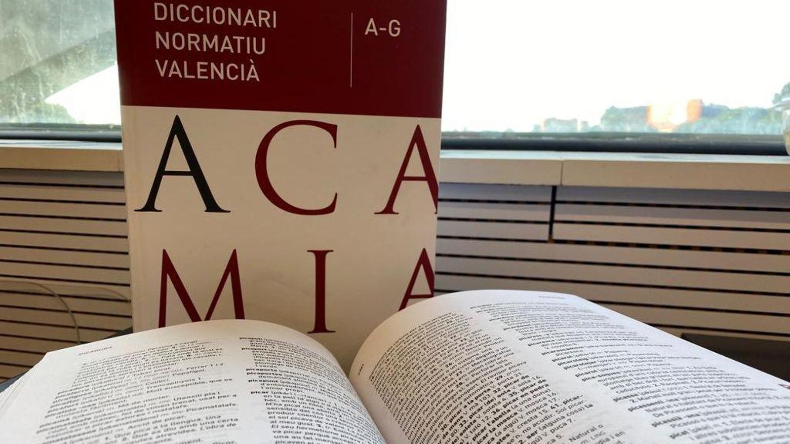 El web i l’aplicació del Diccionari Normatiu Valencià supera els 100 milions de consultes