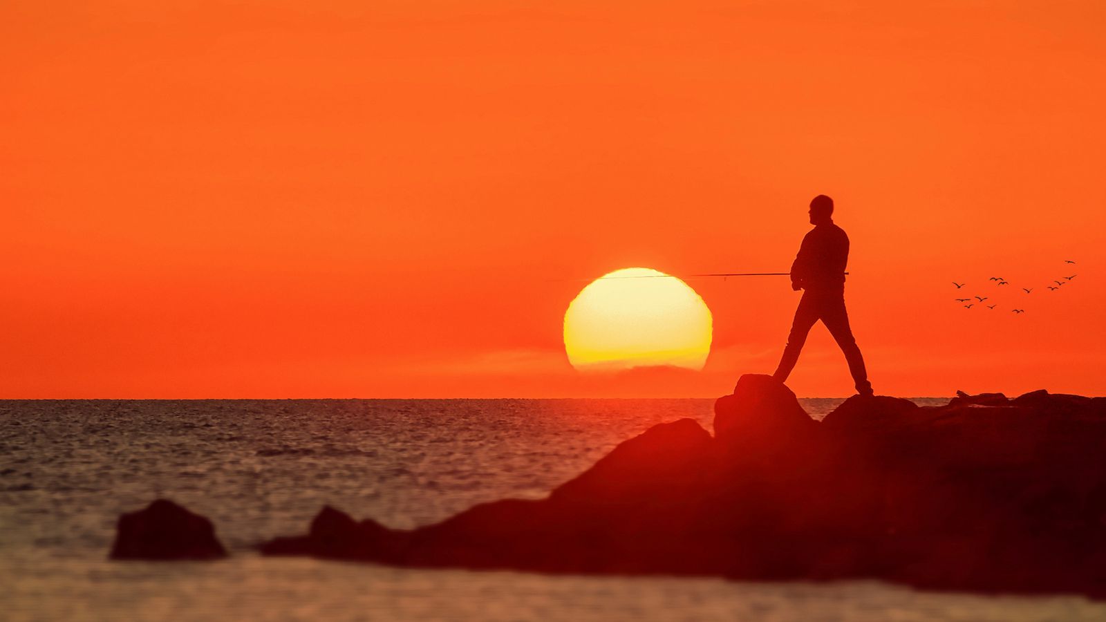 1.ALEJANDRO MUÑOZ GARCIA