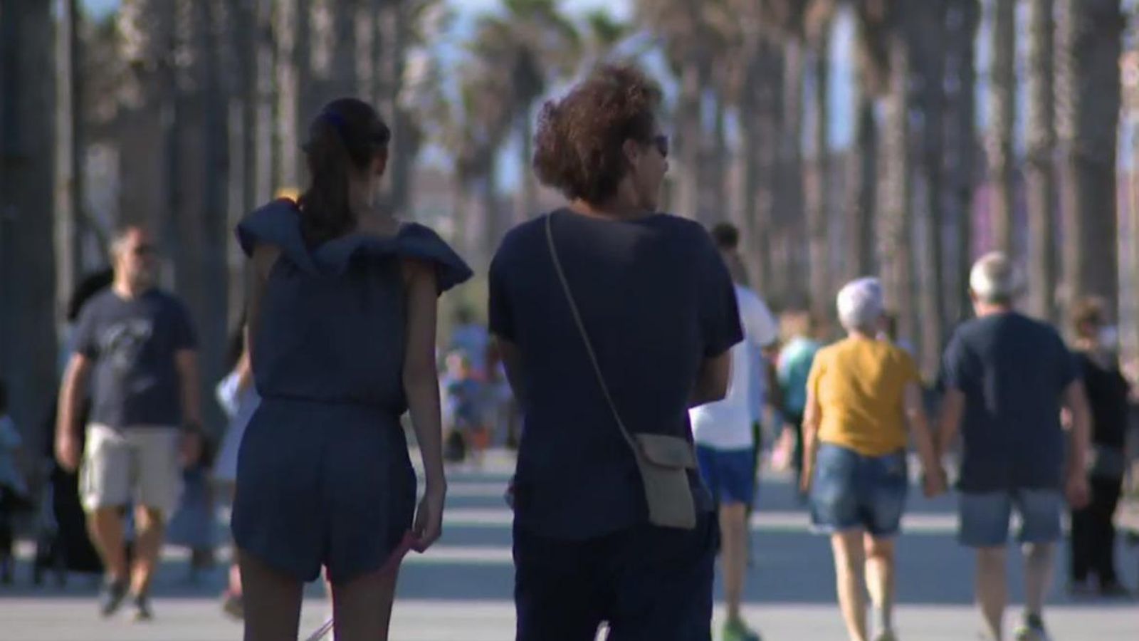 Dos hospitals valencians, seleccionats pel Ministeri de Sanitat per a aplicar una innovadora teràpia a pacients amb limfoma o leucèmia