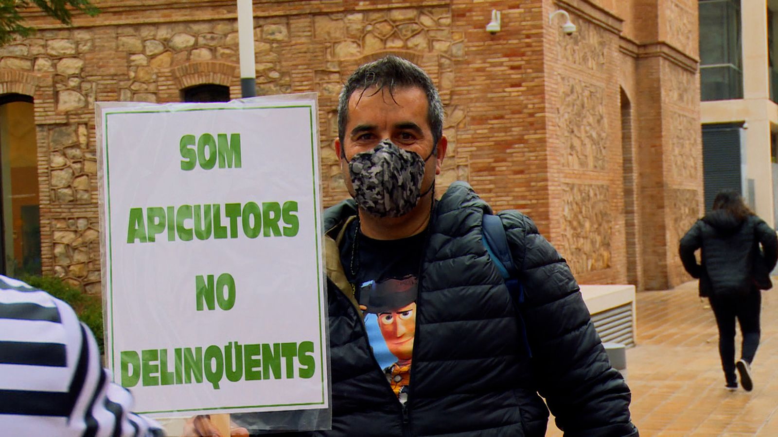 Són les abelles les responsables de l'augment de pinyols en les mandarines? La resposta a aquesta pregunta manté enfrontats apicultors i llauradors.