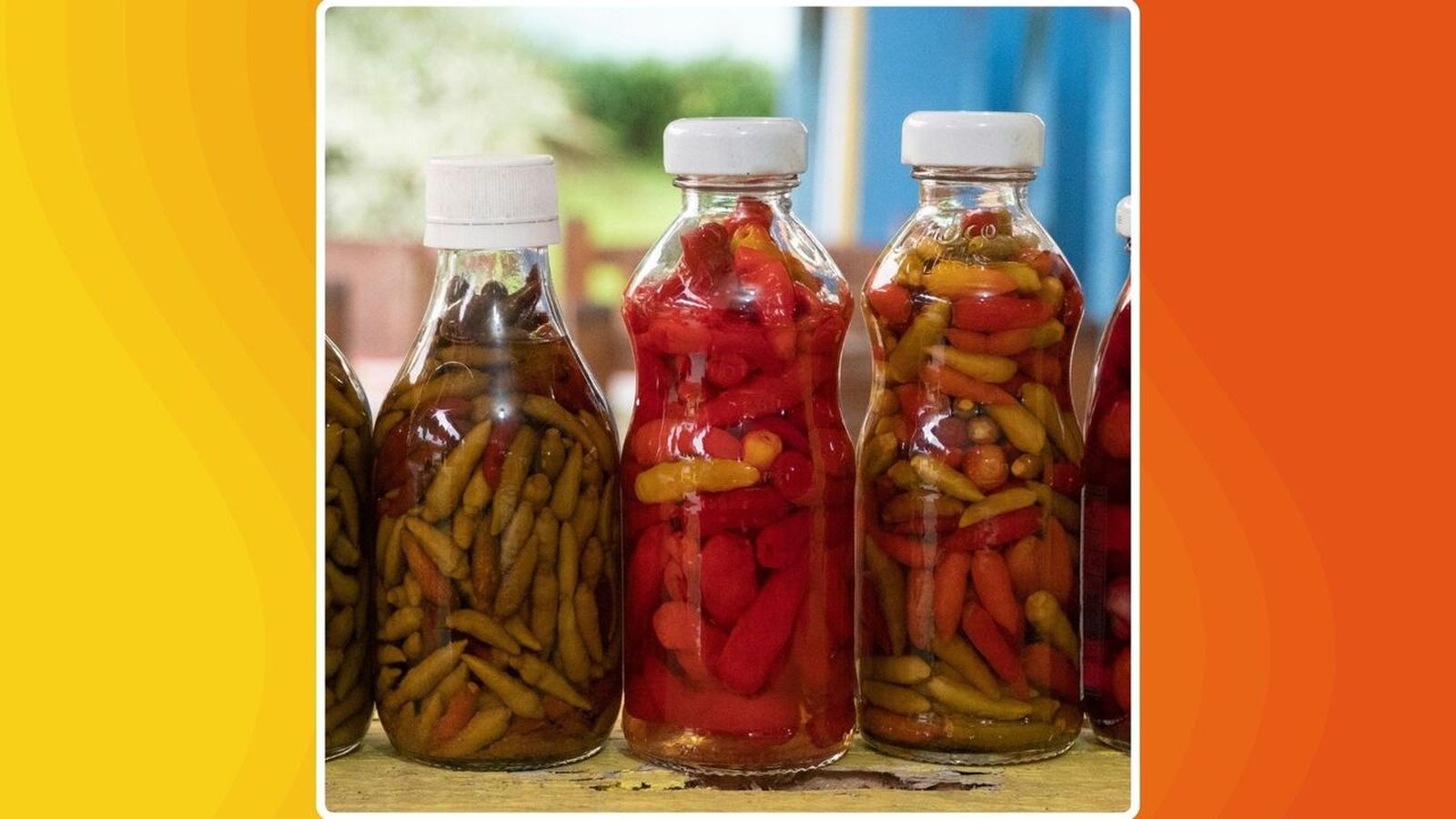 10.03.2026 | "Nutrició", amb Clara Llorens | El fascinant món dels aliments fermentats