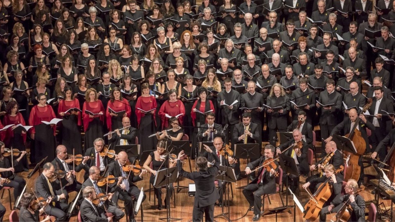 28.01.2023 | El Musiquer