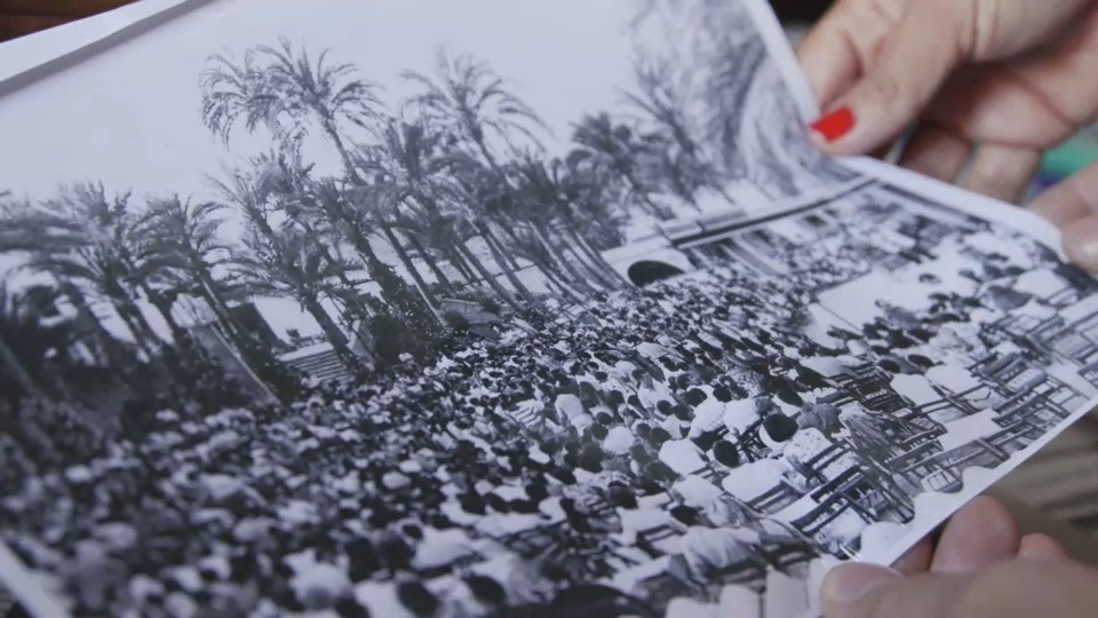 L'escenari i el públic estava envoltats de palmeres