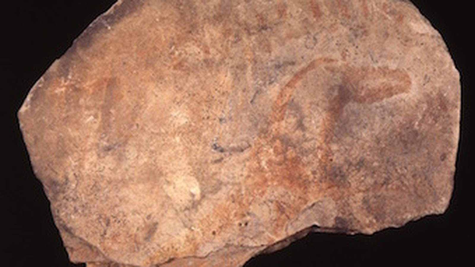 Una de les plaqeutes de pedra clacària emprades per a processar materials colorants a la Cova del Parpalló