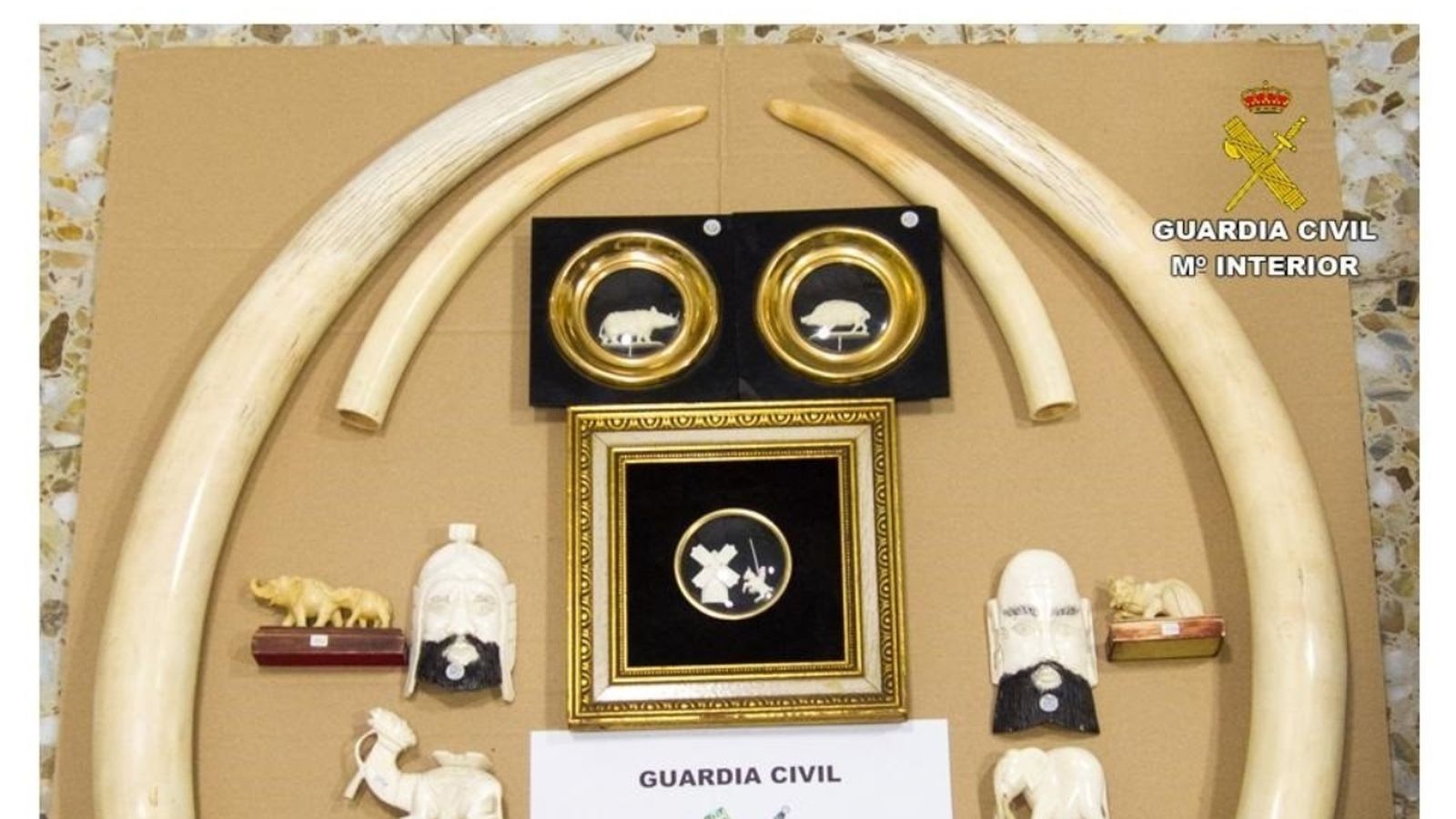 Confisquen 26 peces d\'ivori d\'elefants africans i asiàtics a la venda en internet