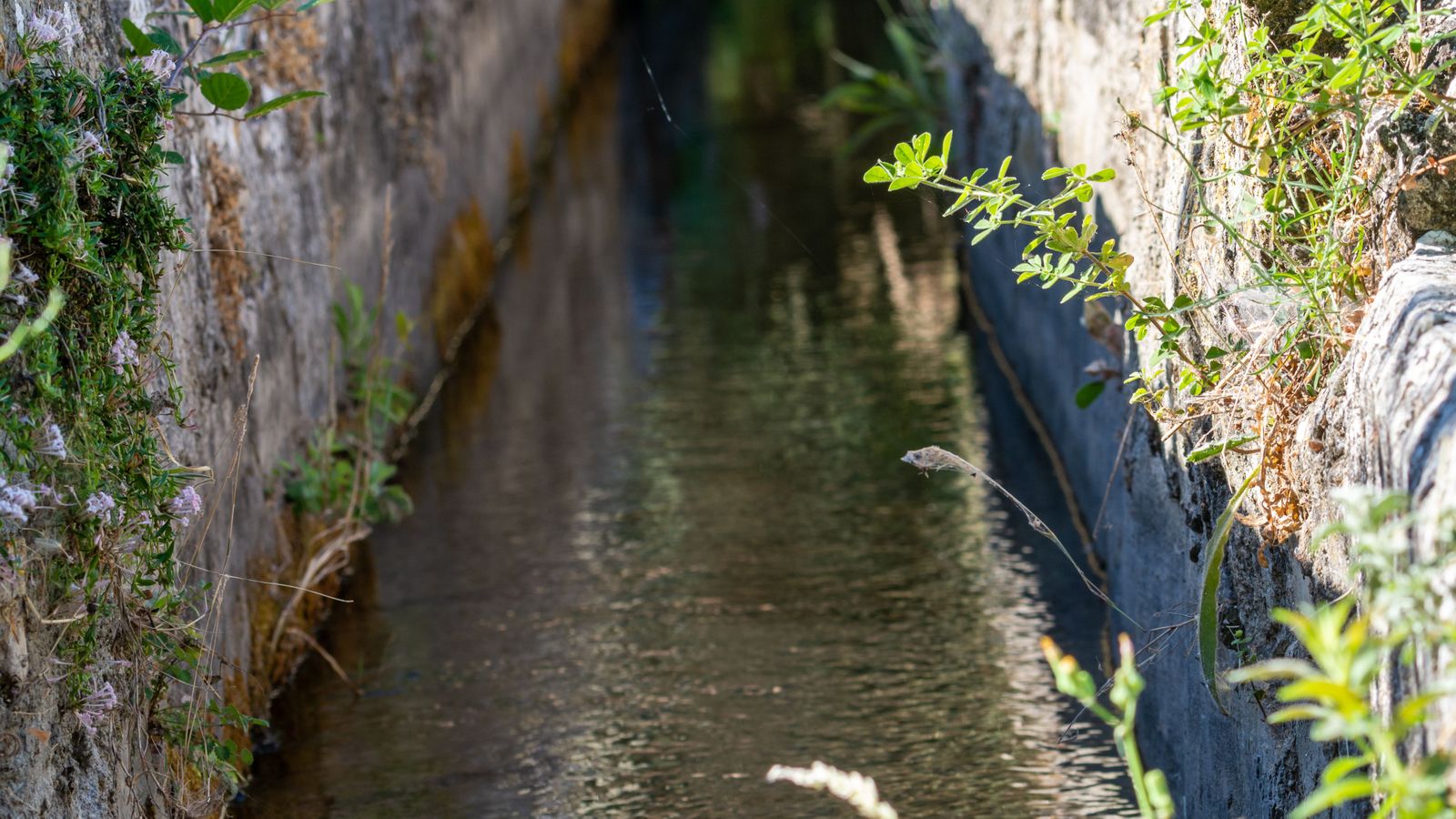 Imatge d'arxiu d'una séquia