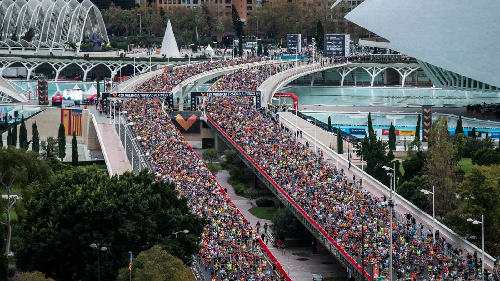 Imatge de la Marató de València de 2024 (Foto Fundació Esportiva Municipal València)
