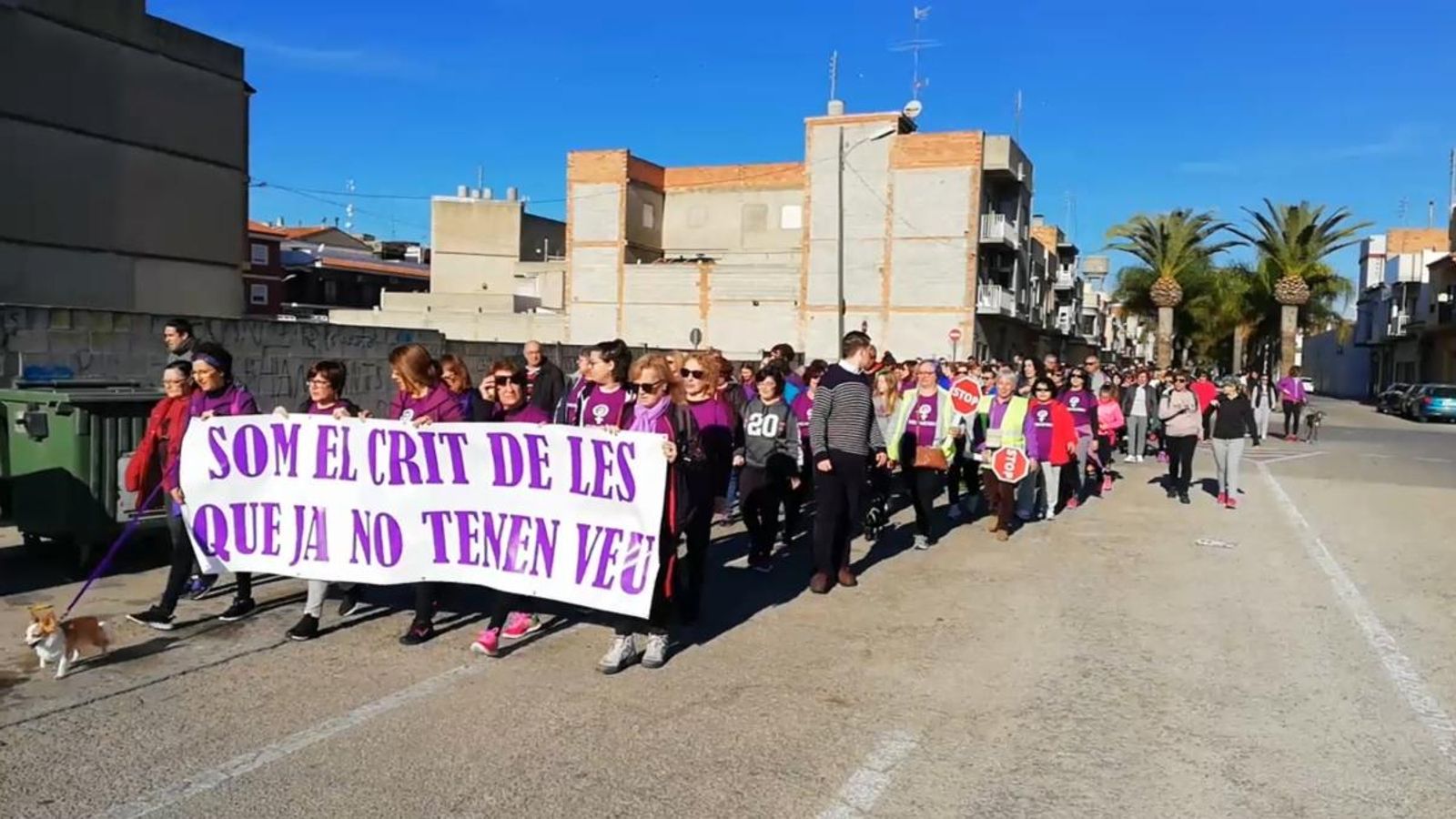 VÍDEO | Centenars de persones marxen a peu per a reivindicar un espai públic segur
