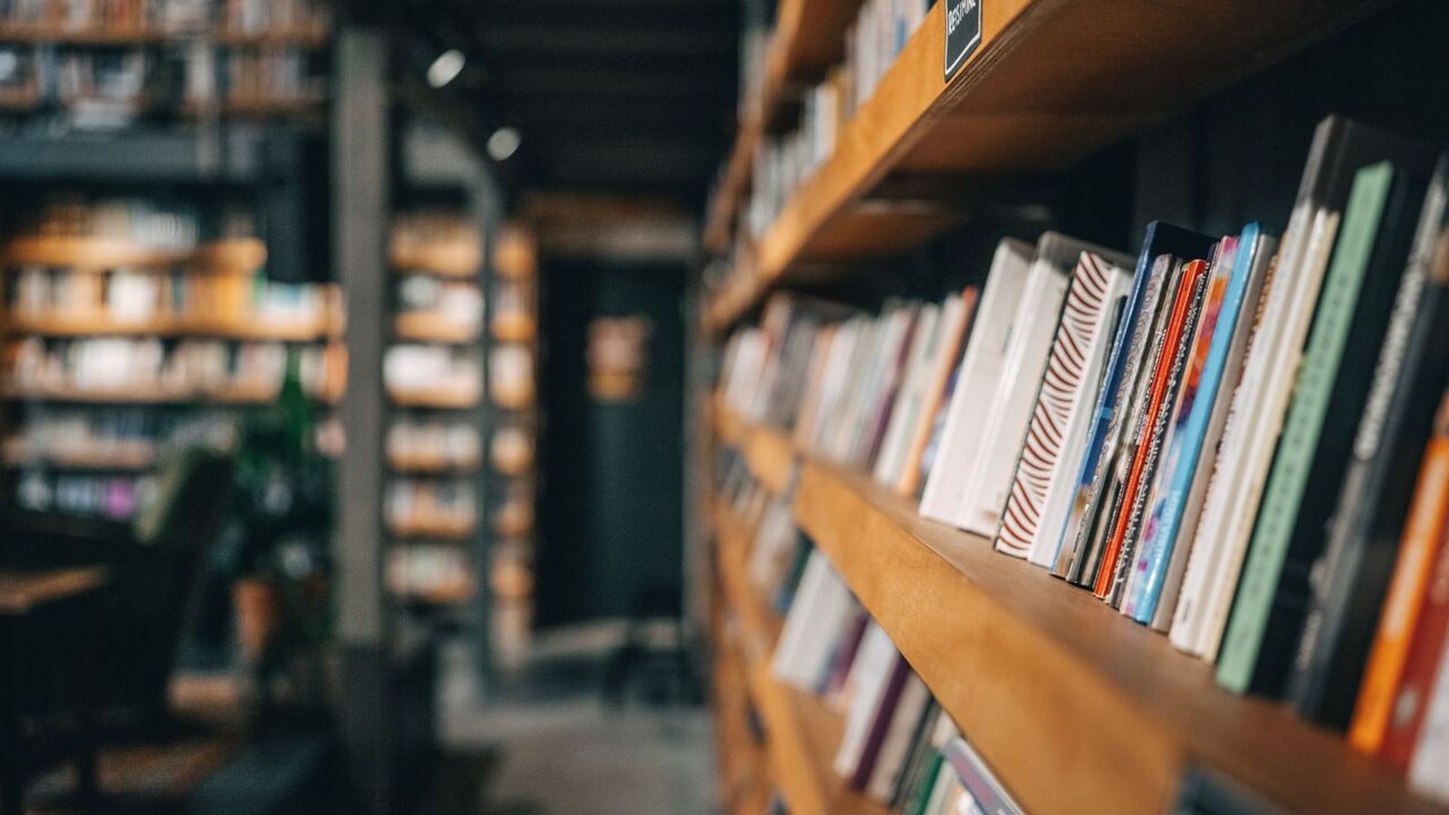 27.11.2024 | “Distopies”: les biblioteques