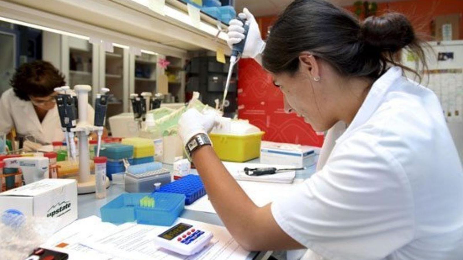 L’Associació Espanyola d’Investigació sobre el Càncer alerta de la greu caiguda en el finançament dels projectes d’investigació