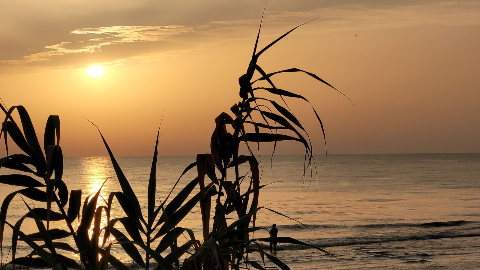 1.EL MARENY DE BARRAQUETES, LA RIBERA BAIXA, ARTURO PART