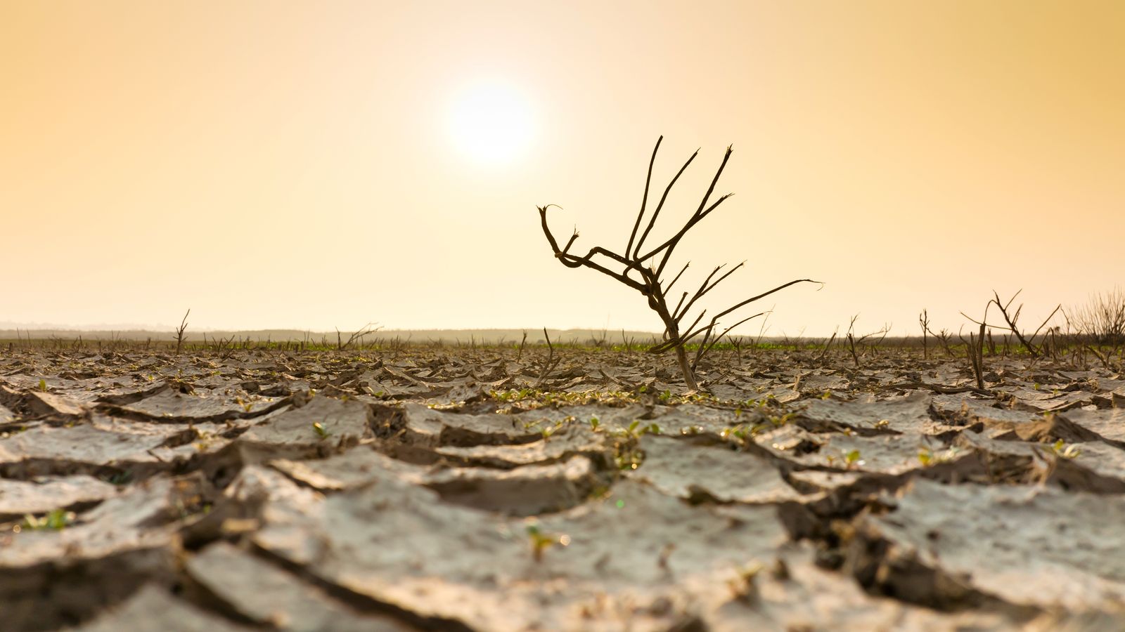 08.09.2022 | Altes temperatures