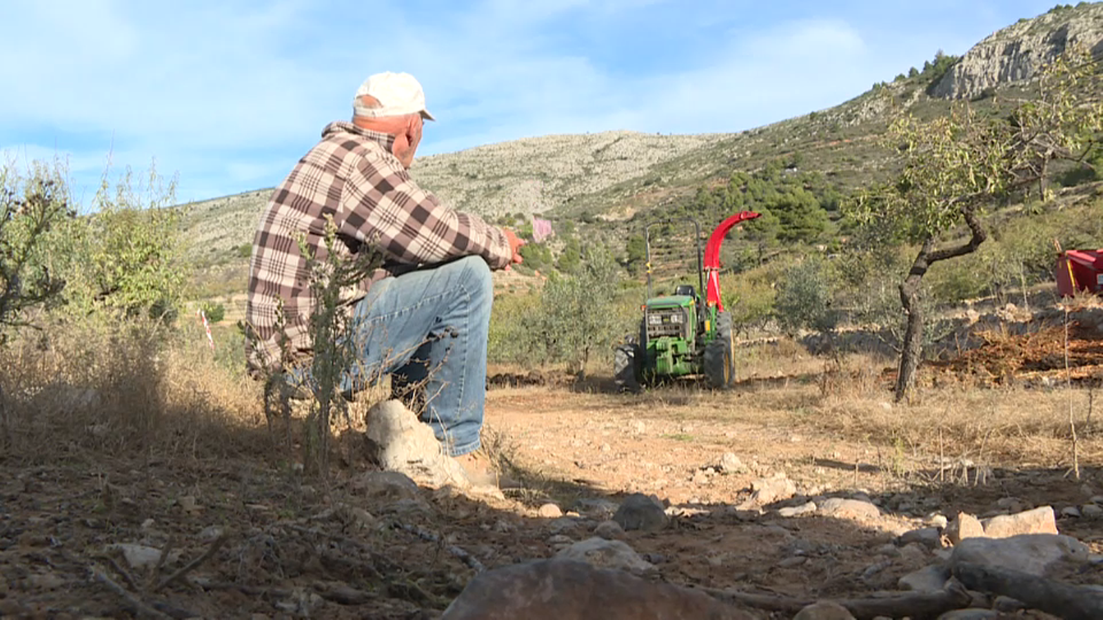 Un de cada quatre agricultors valencians va perdre el treball l'últim any