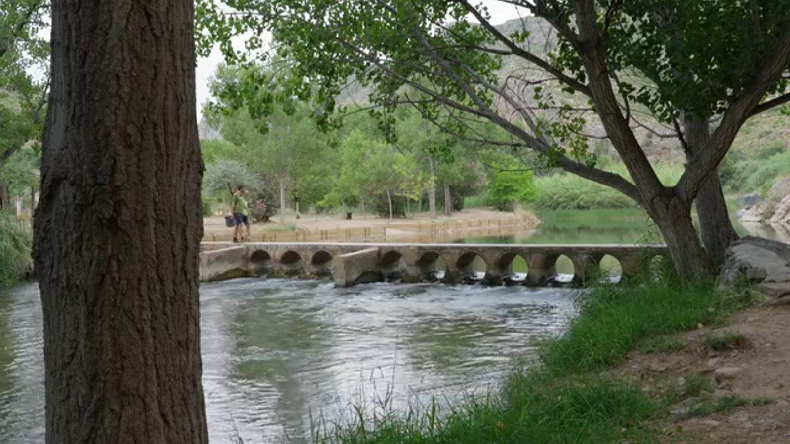 24.08.2023 | Terra Viva