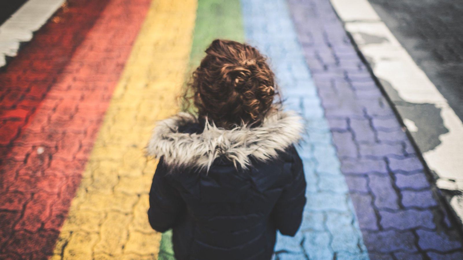 Les Corts voten la llei d\'igualtat de les persones LGTBI