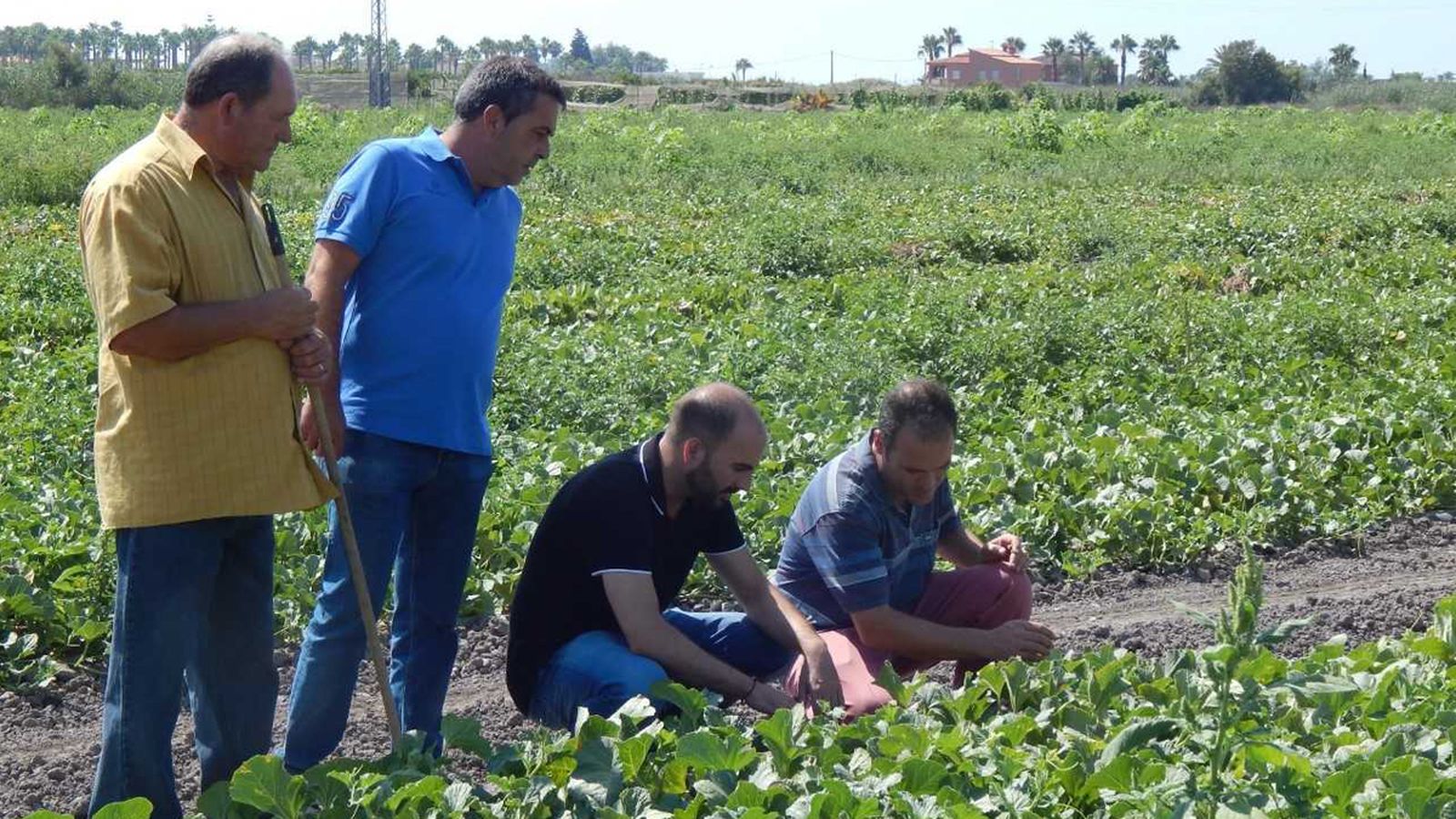 Els productes han de complir criteris de qualitat i origen