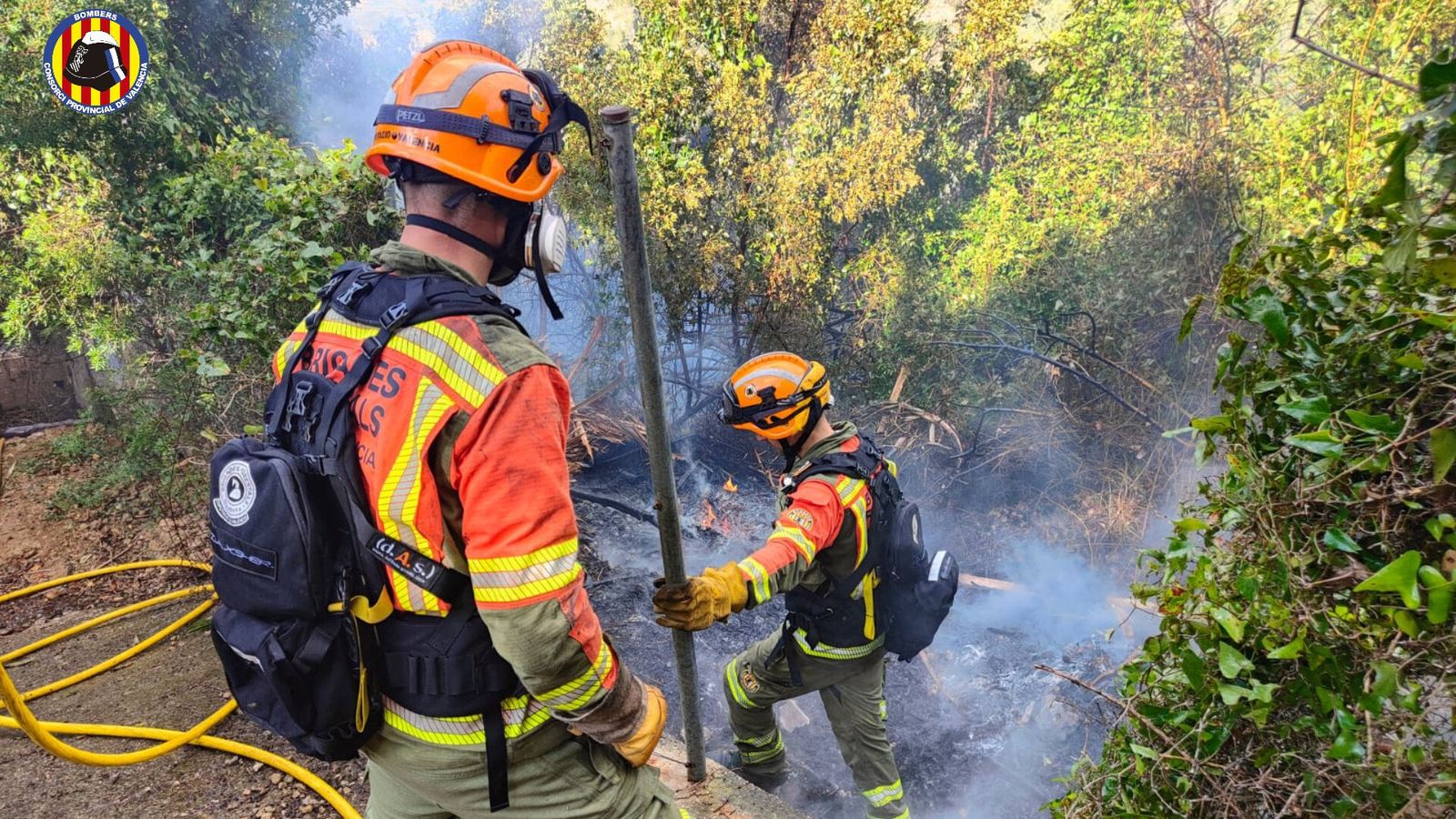 Dos bombers treballen en l'extinció de l'incendi forestal declarat aquest dijous a Alzira