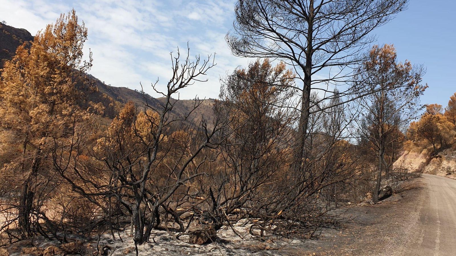 Una setmana després, l'incendi d'Assuévar continua sense estar extingit