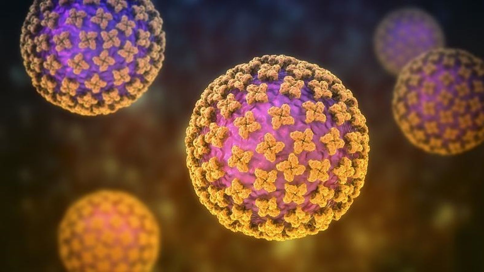 Imatge d'arxiu de recreació en 3D de l'hantavirus