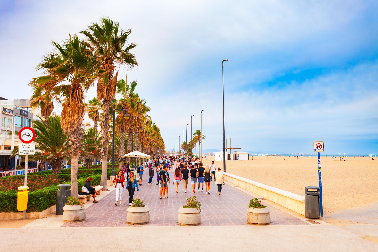 Platja de la Malva-rosa