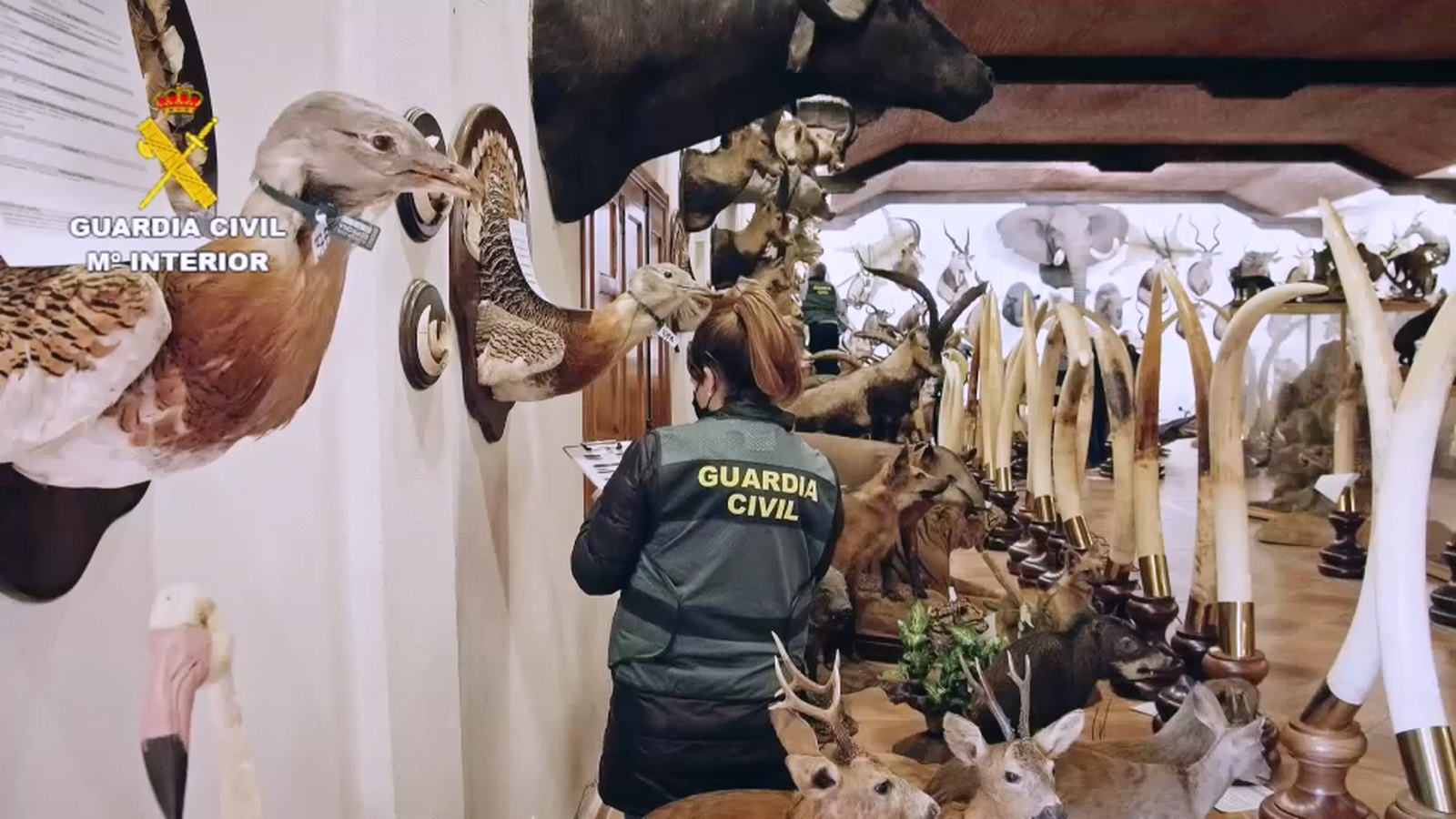 Imatges cedides per la Guàrdia Civil