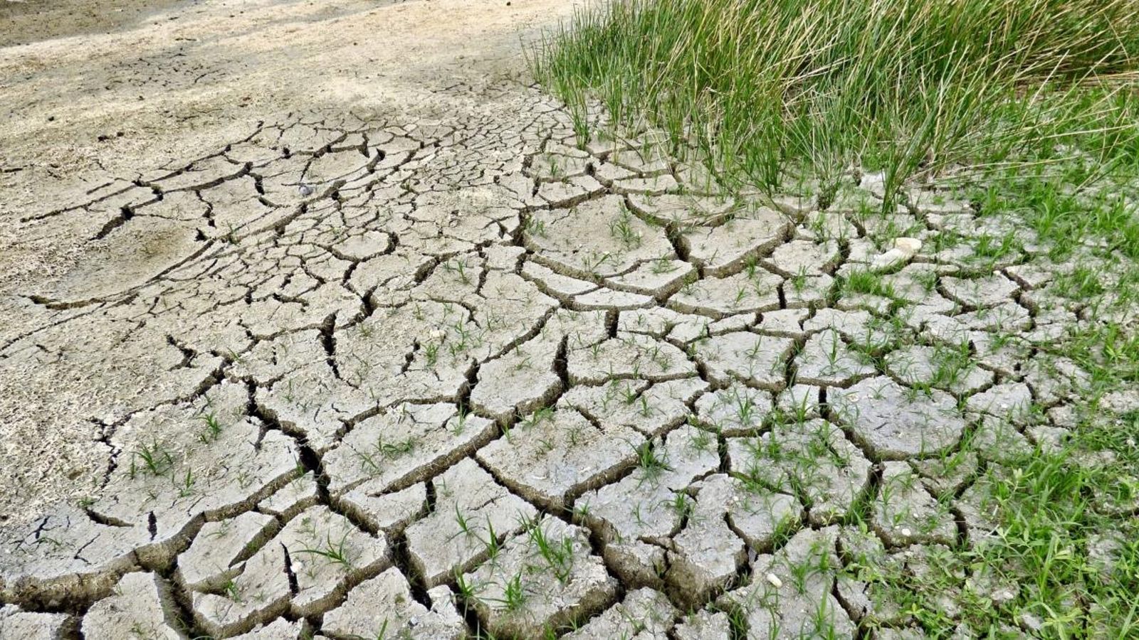 28 països llatinoamericans acorden accelerar la lluita contra el canvi climàtic