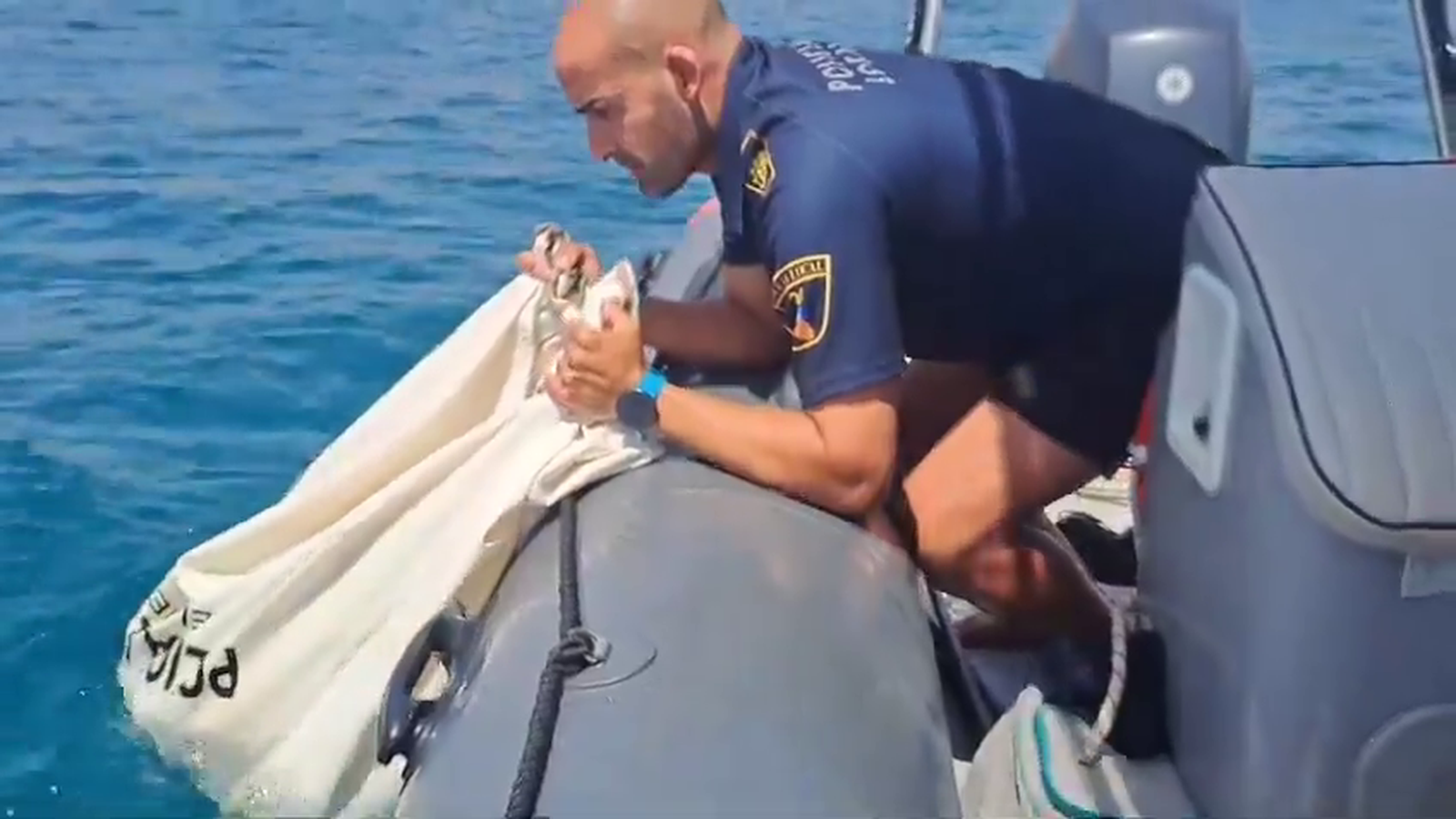 Moment en què els policies d'Elx van alliberar la rajada mar endins