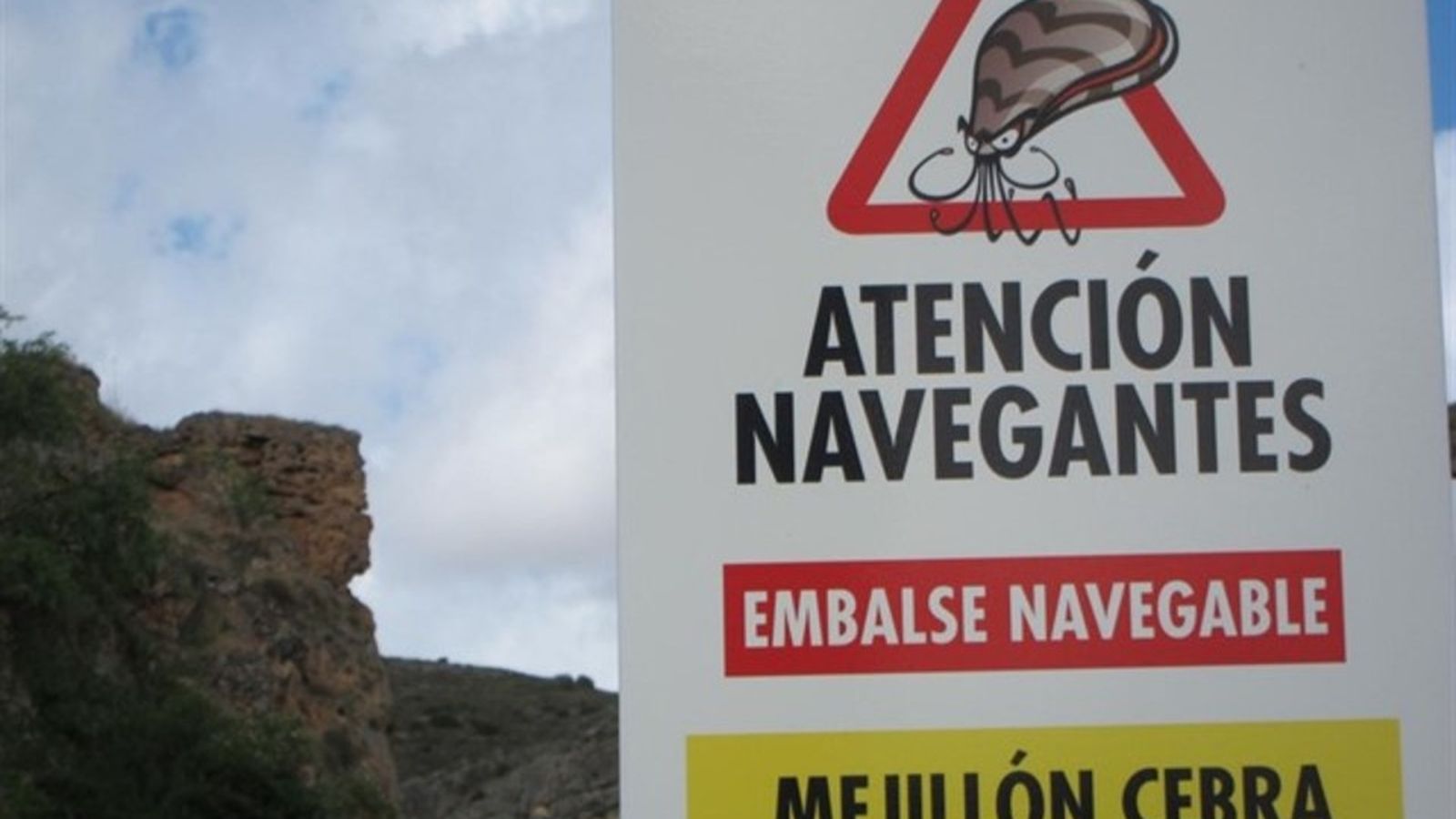 13.02.2019 | NM Entrevista a Concha Durán, de la CHX, sobre l\'augment de la clòtxina zebrada als embassaments