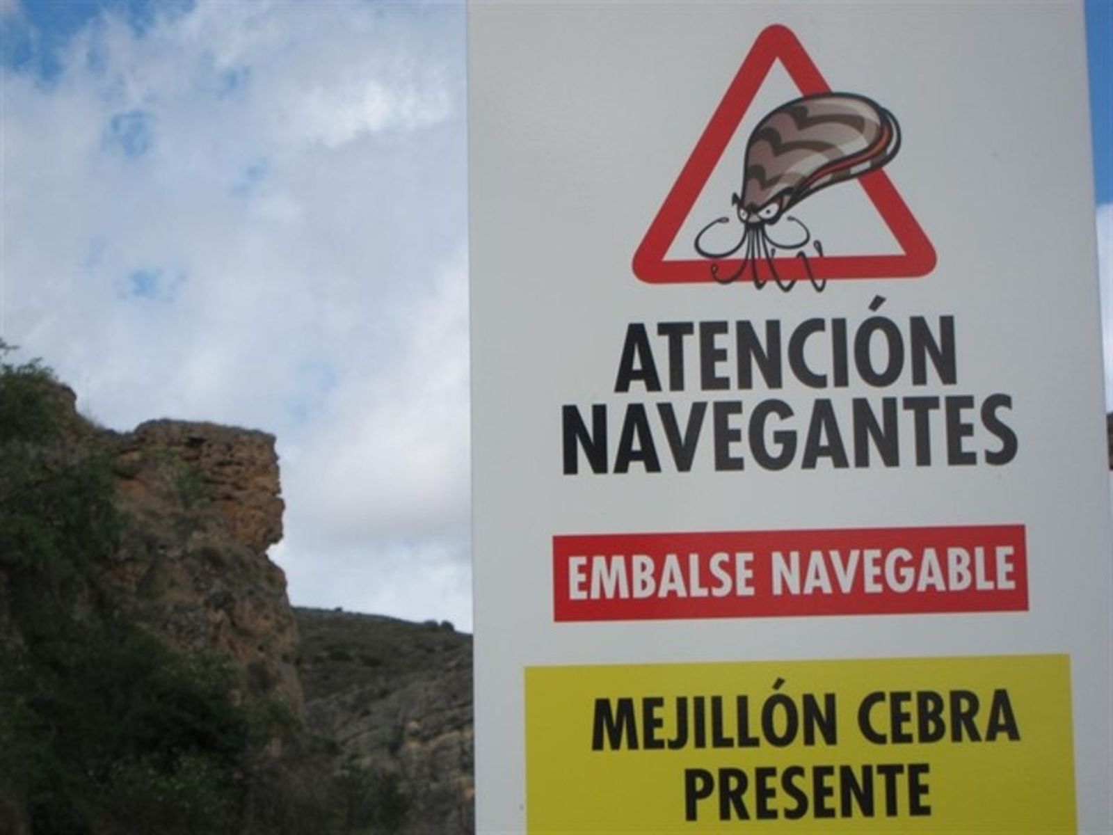 13.02.2019 | NM Entrevista a Concha Durán, de la CHX, sobre l\'augment de la clòtxina zebrada als embassaments